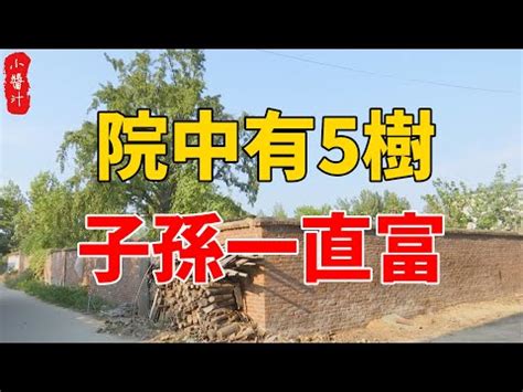 桃 風水|【桃花樹風水】桃花樹風水：古代風水禁忌與現代居家桃花指南